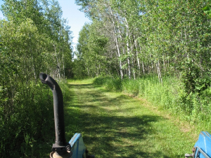 campgroundscenes14.jpg