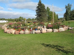 flowers1.jpg